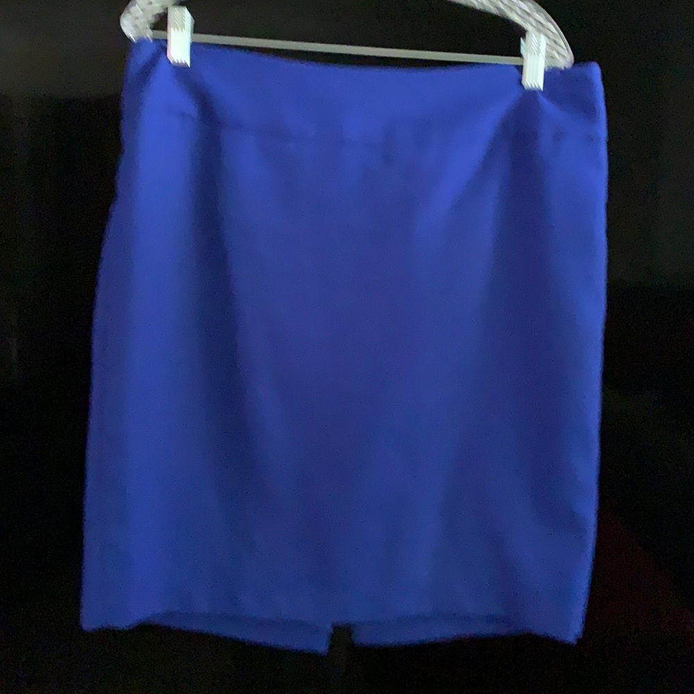 Women’s size 14 fully lined skirt